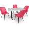 Çipa Werzalit Nilüfer Mutfak Masa Takımı - Pembe